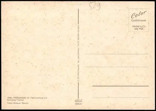 Kronberg Cronberg Taunus Mehrbild-AK Tiere Opel-Zoo FREIGEHEGE für  1975