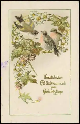 Ansichtskarte  Geburtstag Birthday Vögel auf Blütenzweig 1916 Gold