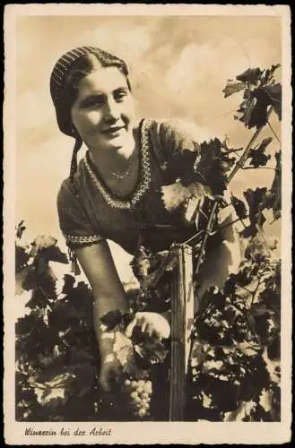 .Rheinland-Pfalz Fotokarte Winzerin bei der Arbeit Wein schöne Frau 1938