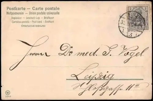 Neujahr Sylvester New Year Junge mit Hufeisen Kleeblatt Shamerock 1906