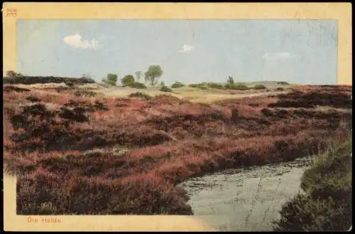 Ansichtskarte .Niedersachsen Lüneburger Heide DIORAMA-Karte 1911