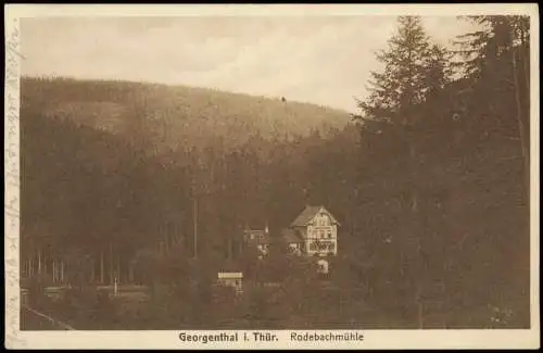 Ansichtskarte Georgenthal (Thüringen) Rodebachmühle 1928