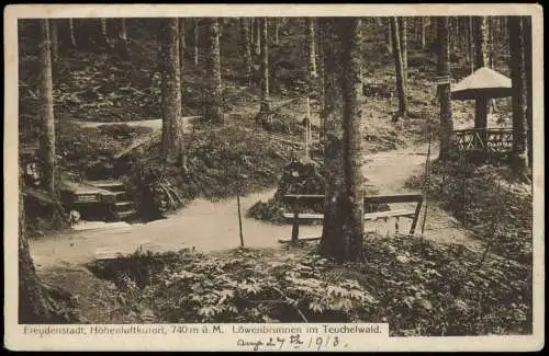 Ansichtskarte Freudenstadt Umlandansicht Löwenbrunnen im Teuchelwald 1913