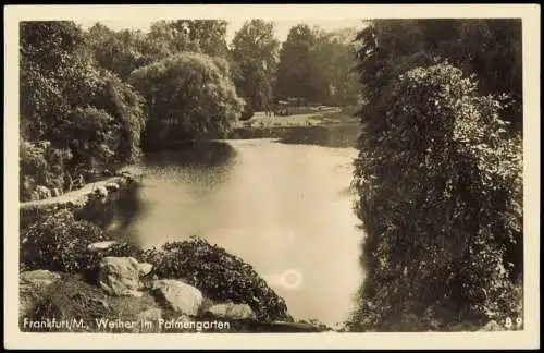 Ansichtskarte Frankfurt am Main Weiher im Palmengarten 1951