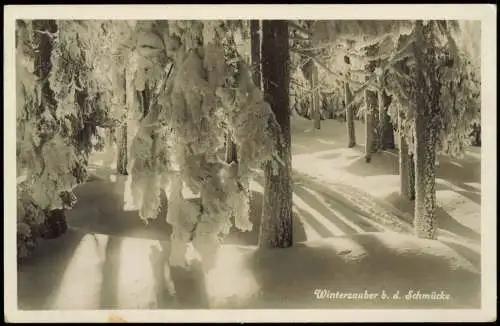 Ansichtskarte Gehlberg Schmücke Thüringer Wald Winterzauber 1931