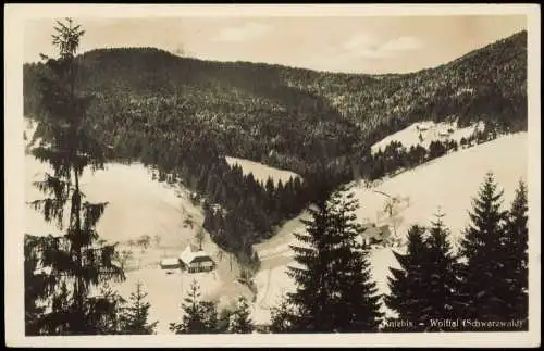 Ansichtskarte Kniebis-Freudenstadt Wolftal Schwarzwald im Winter 1935