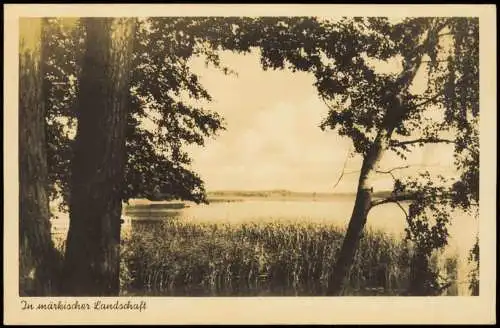 Ansichtskarte Storkow (Mark) In märkischer Landschaft 1944