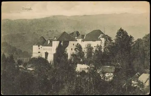 Postcard Turjak Turjac Schloß 1924  Slowenien Slowenia