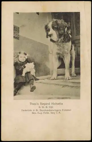 Kuriositäten Hund Theo Bayard Holsatia Deckrüde Bernhardszwingers Eistobel 1928