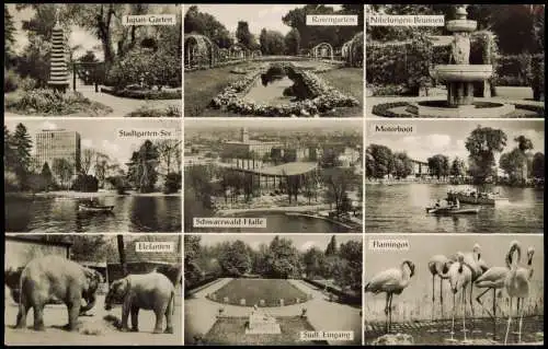 Karlsruhe Mehrbild-AK Japan-Garten Schwarzwald-Halle Elefanten Flamingos 1960