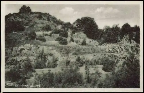 Ansichtskarte Lüneburg Lüneburg Umlandansicht mit Kalkberg 1940