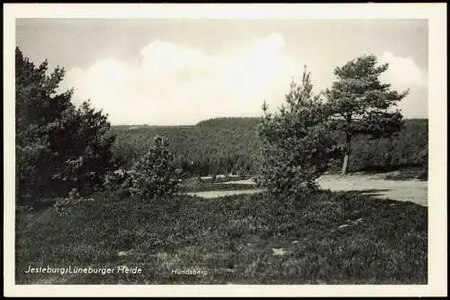 Ansichtskarte Jesteburg Lüneburger Heide Hundsberg 1940