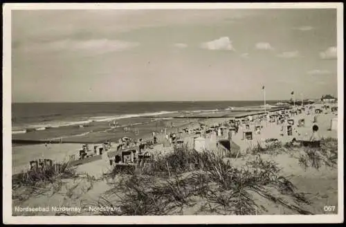 Ansichtskarte Norderney Nordstand Strandleben 1953