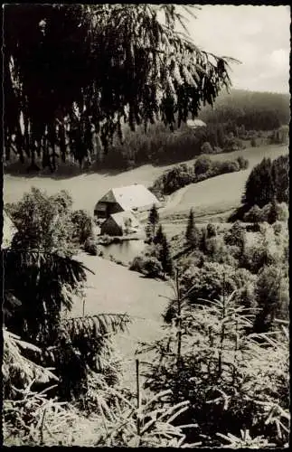 Ansichtskarte Hinterzarten Umland-Ansicht Morgenstimmung am Keßlerhof 1961