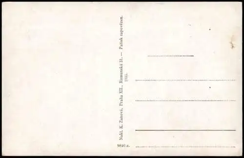 Rehberg Srní na Sumava Ortsansicht Šumava Baarův pomník na Výhledech 1920