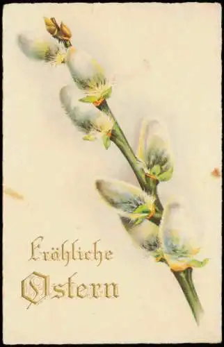 Ansichtskarte  Ostern Easter Weidenkätzchen Zentrale Jugenfürsorge 1928 Gold