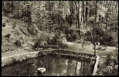 Ansichtskarte Radevormwald Stadtpark Kollenberg 1957