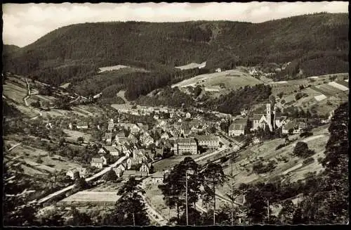 Ansichtskarte Alpirsbach Panorama 1956