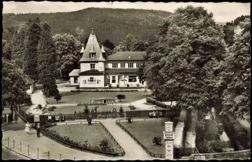 Ansichtskarte Bad Herrenalb Blick auf Kurhaus mit Kurgarten 1955