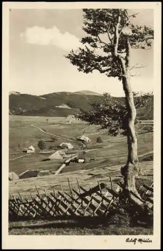 Feldberg (Schwarzwald) Blick vom Schauinsland auf den Feldberg 1954