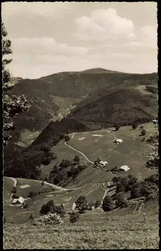 Freiburg im Breisgau Blick über Hofsgrund, St. Wilhelmer-Tal Feldberg 1956