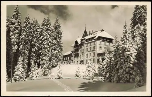 Ansichtskarte Todtnau Waldhotel Notschei 1956