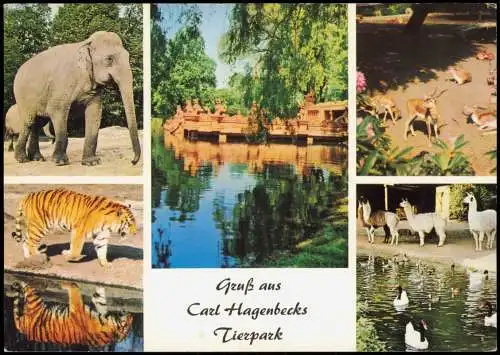 Stellingen-Hamburg Tierpark Hagenbeck Tiere Elefant, Tiger Zoo 1996