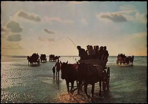 Sahlenburg-Cuxhaven Abendliche Rückkehr der Wattwagen  Duhnen Sahlenburg 1979