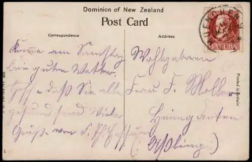 Postcard Dunedin Neuseeland New Zealand Native Gabbage Trees Kinder 1919  New Zealand