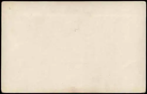 Ansichtskarte  Erotik Nackt - Nude Salon Un nid de Sirenes 1912