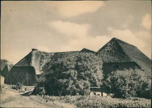 Ansichtskarte Schleswig Holstein Bauernhof in Nordschleswig 1939