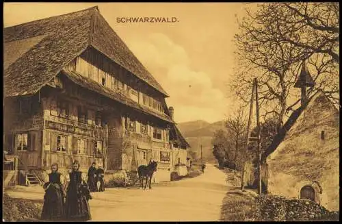 Baden-Württemberg Schwarzwald Mittelgebirge typ. Haus, Frauen Tracht Pferd 1910