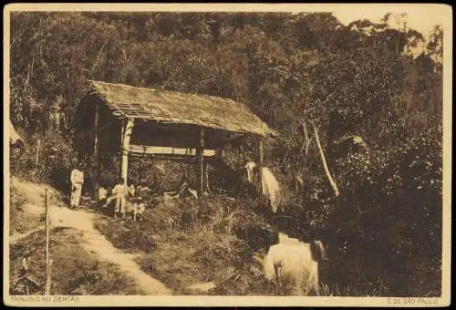 Postcard Brasilien Allgemein MONJOLO NO SERTÃO E. DE SÃO PAULO 1910