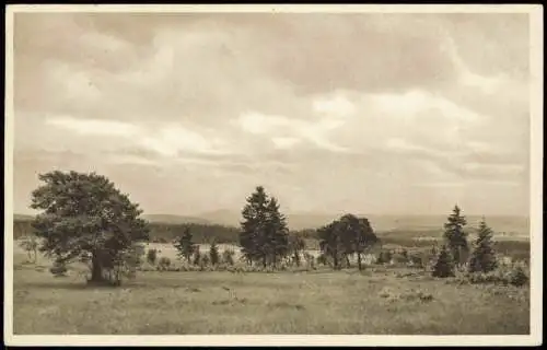 Ansichtskarte Geyer Umland-Ansicht Hermannsdorfer Wiesen bei Geyer 1920