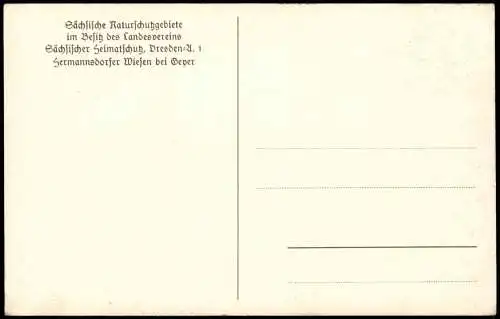 Ansichtskarte Geyer Umland-Ansicht Hermannsdorfer Wiesen bei Geyer 1920