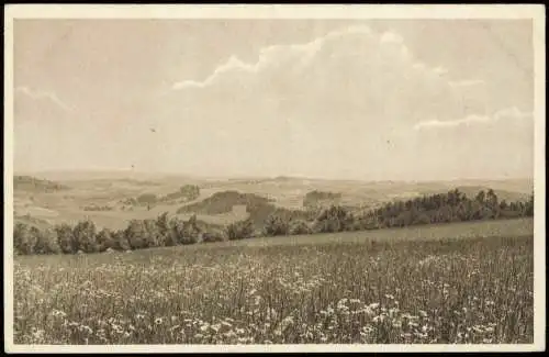 Geising-Altenberg (Erzgebirge) Umland-Ansicht Geisingwiesen 1920