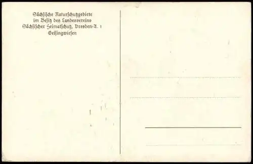 Geising-Altenberg (Erzgebirge) Umland-Ansicht Geisingwiesen 1920