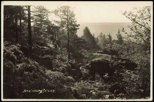 Ansichtskarte Wernesgrün-Steinberg (Vogtland) Steinbergfelsen 1930