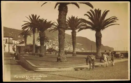 Postcard Funchal Straßenpartie Esel 1929  Madeira