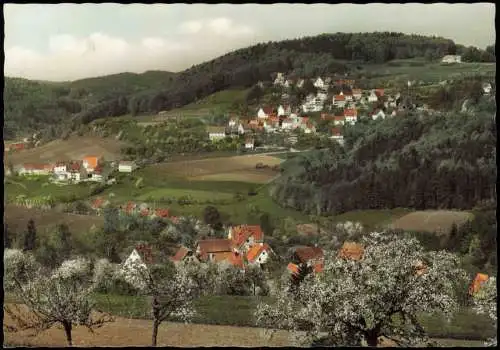 Osternohe Panorama-Ansicht mit Gasthof u. Pension Igel-Schloßberg 1968