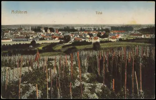 CPA Molsheim Molse Stadtpartie Reben 1910  Unterelsass