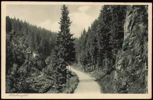 Ansichtskarte Olbernhau Natzschungtal/Erzgebirge 1928