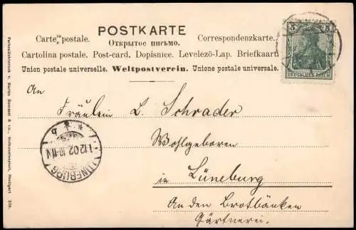 Ansichtskarte  Botanik :: Blumen Naturfarben Stiefmütterchen 1902