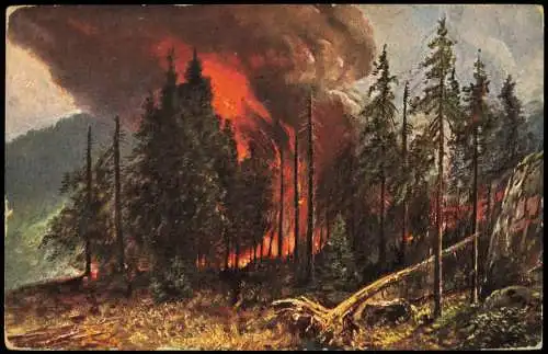 Ansichtskarte Goslar Künstlerkarte Waldbrand Harz 1910