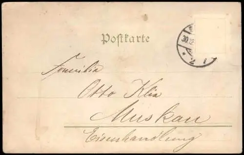 Ansichtskarte  Neujahr Sylvester New Year Zahl aus Veilchen Schwalben 1901
