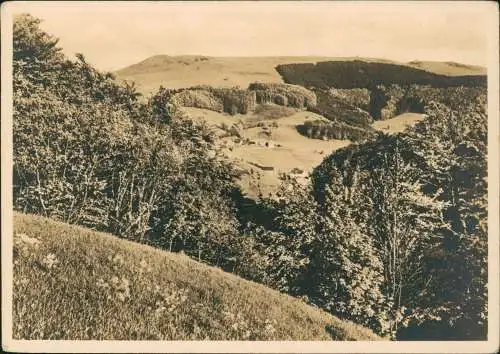 Ansichtskarte Gersfeld (Rhön) Wasserkuppe - Fotokarte 1932