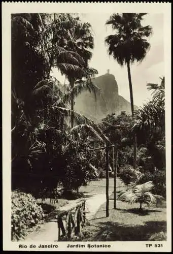 Postcard Rio de Janeiro Jardim Botanico (Park) Botansicher Garten 1930