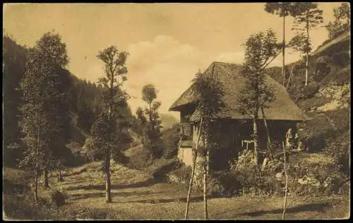 Ansichtskarte .Baden-Württemberg Schwarzwaldhaus im Hexenloch 1920