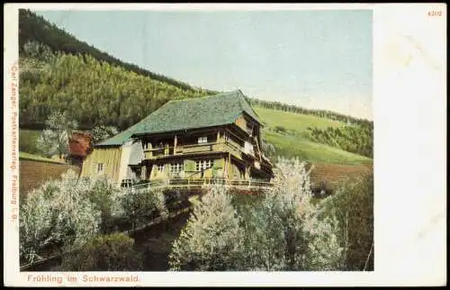 .Baden-Württemberg Frühling im Schwarzwald, Schwarzwaldhaus 1900