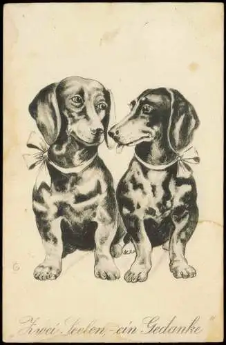 Tiere Hunde: Dackel Hund Dog Dogs (Zwei Seelen, ein Gedanke) 1940